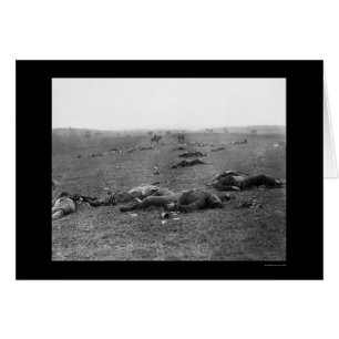 Dödsskörning vid Gettysburg, PA 1863 Hälsningskort