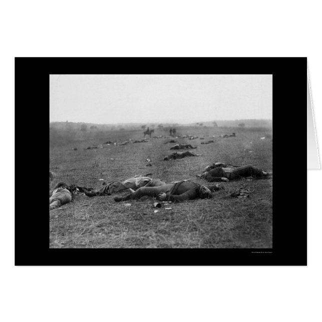 Dödsskörning vid Gettysburg, PA 1863 Hälsningskort (Framsidan Horizontal)
