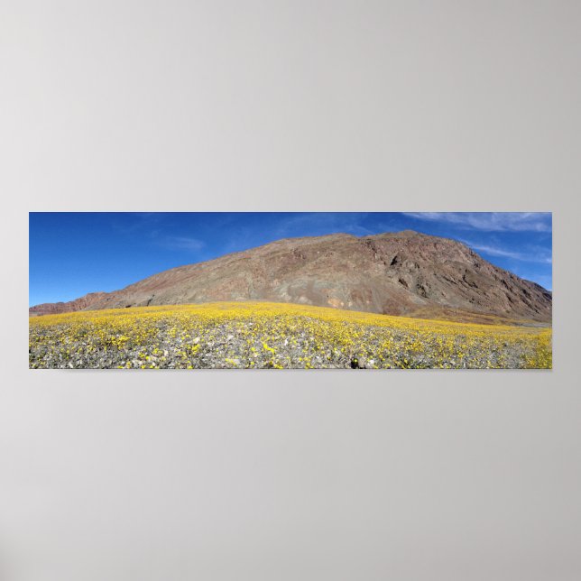 Dödsvalley Toppen-bloom Poster (Framsidan)
