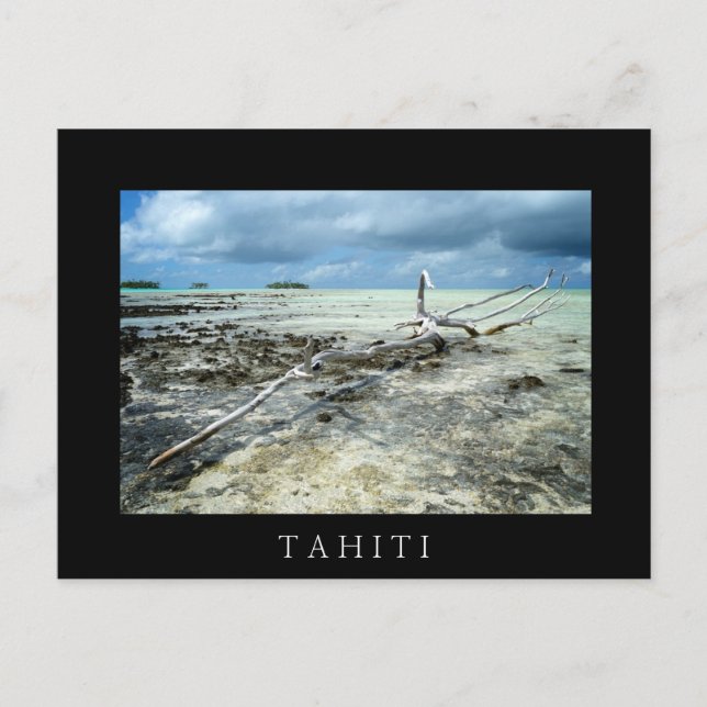 Dödsvirke i Stillahavets svarta vykort (Framsida)