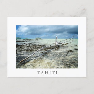 Dödsvirke i Tahiiti vita vykort