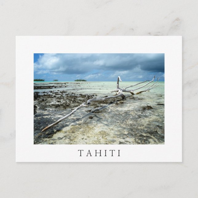 Dödsvirke i Tahiiti vita vykort (Framsida)