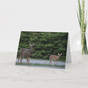 Doe & Fawn Kort