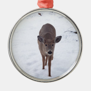Doe hjort i snö Montana Wildlife-fotot Julgransprydnad Metall