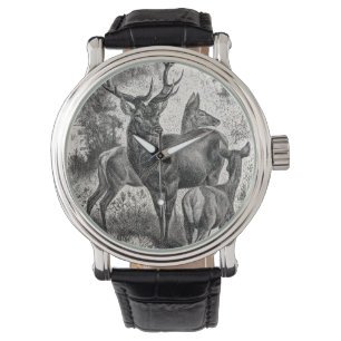 Doen för fullvuxen hankronhjort för illustration armbandsur