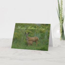 Doen för hjort för mulen D5 och lismar Kort