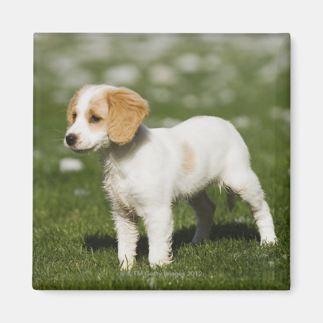 Doft 3 magnet (Framsidan)