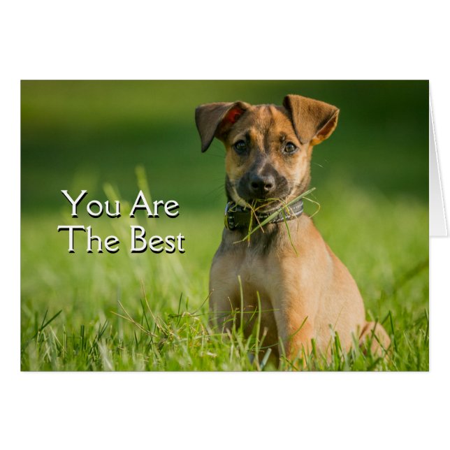 Doft i gräs hälsningskort (Framsidan Horizontal)