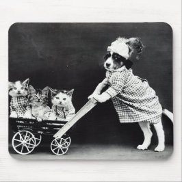 Doft med tre kittens i en transport musmatta