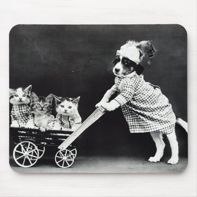 Doft med tre kittens i en transport musmatta (Framsidan)