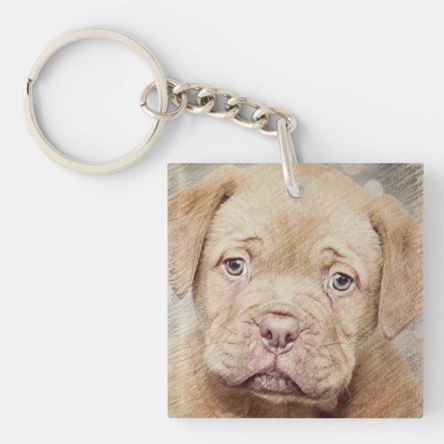 Doft, natur, Hund (Framsidan)