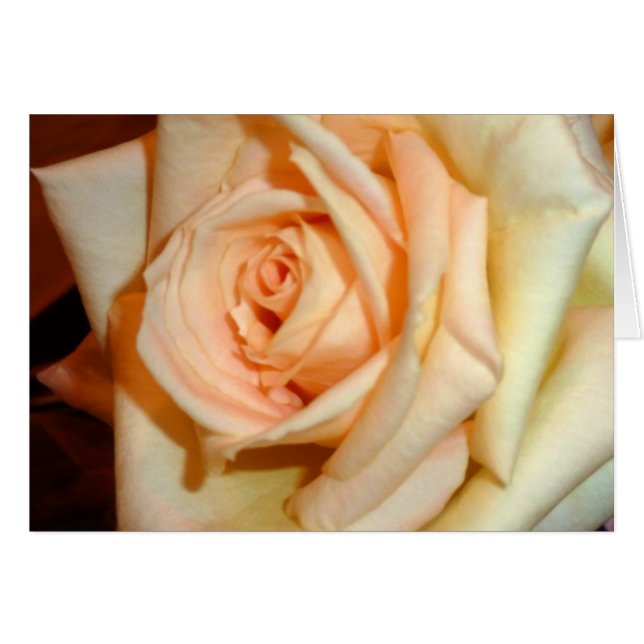 Doft OBS Kort (Framsidan Horizontal)