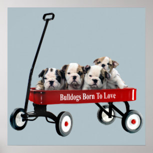 Doftdockor i vagnutskrift poster