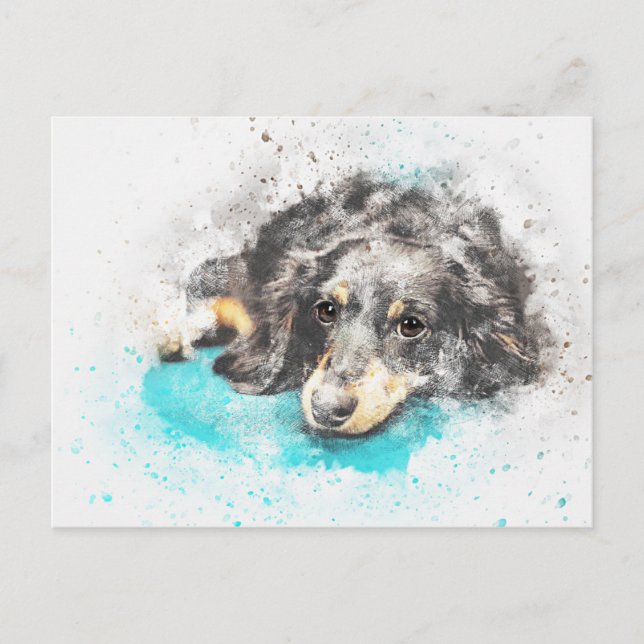 dog-2719601_1920 vykort (Framsida)