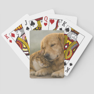 "Dog and Cat Resting Together Classic Playing Card Casinokort