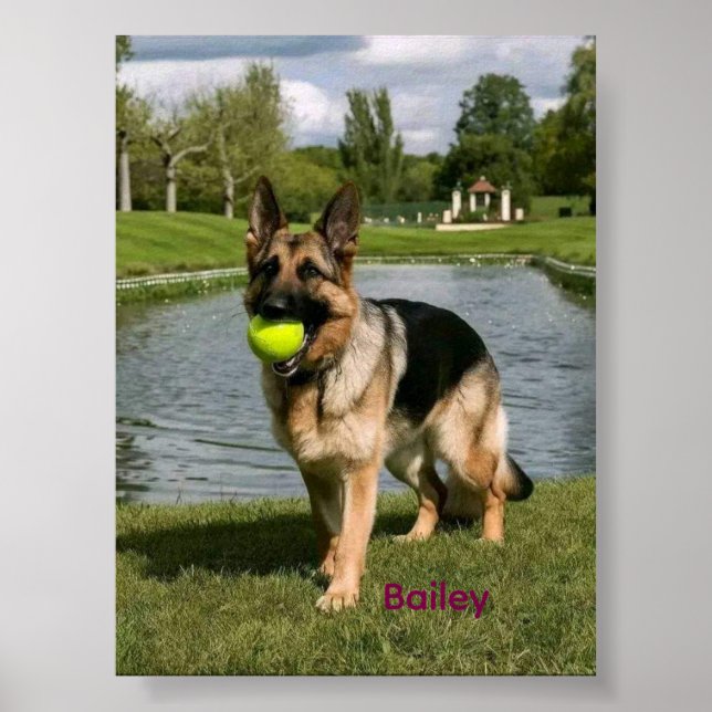 Dog Bathroom Wall Art, Boxer Taking a Bath Poster (Framsidan)