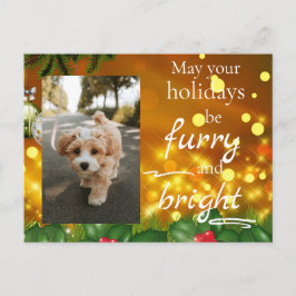 Dog Cat Pet Custom Photo Christmas Postcard Funny Helg Vykort