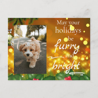 Dog Cat Pet Custom Photo Christmas Postcard Funny Helg Vykort