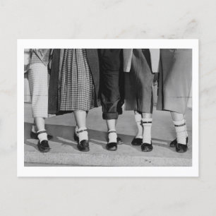 Dog Collar Anklets Vykort