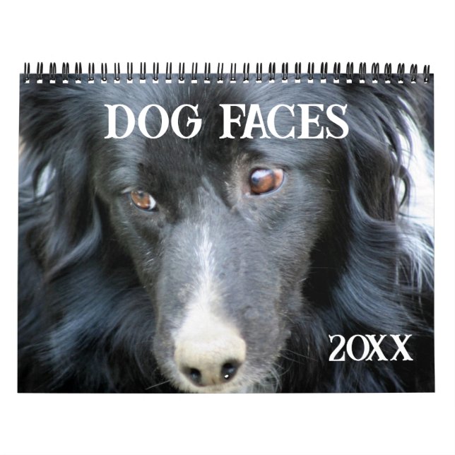 Dog Faces And Expressions Kalender (Omslag)