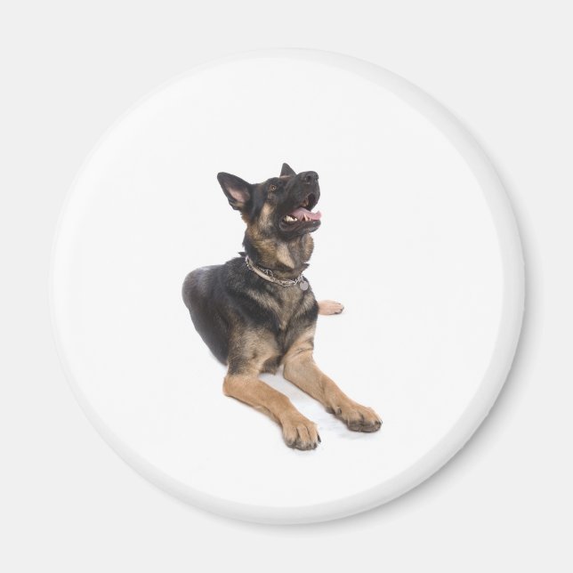 dog - german shepherd magnet (Framsidan)