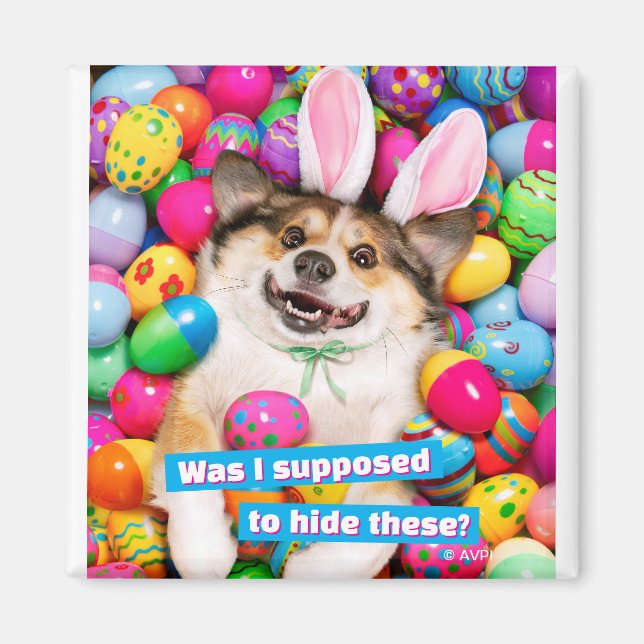 Dog Laying on Easter Eggs Magnet (Framsidan)