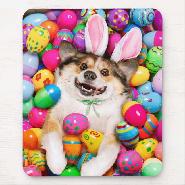 Dog Laying on Easter Eggs Musmatta (Framsidan)