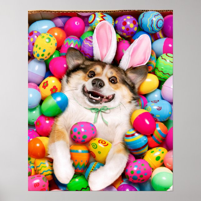 Dog Laying on Easter Eggs Poster (Framsidan)