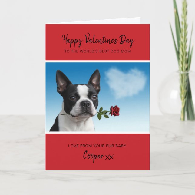 Dog Mom Valentine From Boston Terrier Holding Rose Helgkort (Framsida)