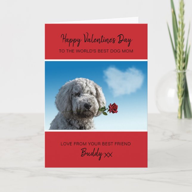 Dog Mom Valentine From Dog With Red Rose Helgkort (Framsida)