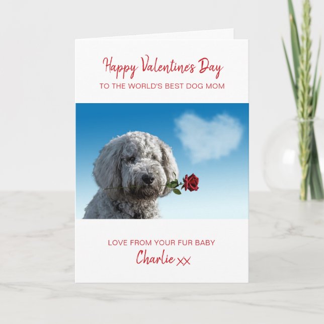 Dog Mom Valentine Personalized Pet Photo Helgkort (Framsida)
