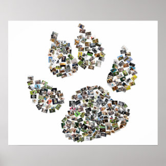 Dog Paw Print Collage Poster