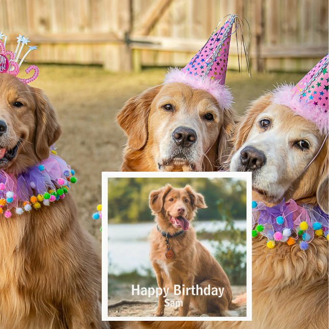 Dog Photo Personalized Birthday Cocktail Pappersservett (Skapare uppladdad)