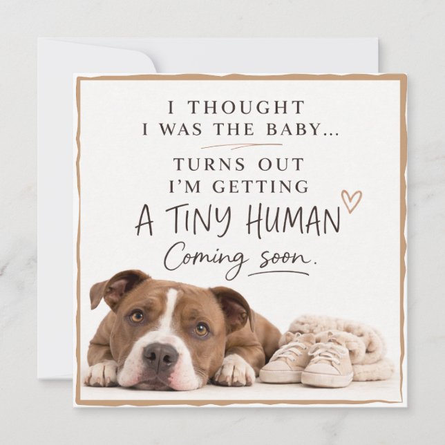 Dog Pregnancy Announcement Card Inbjudningar (Framsida)