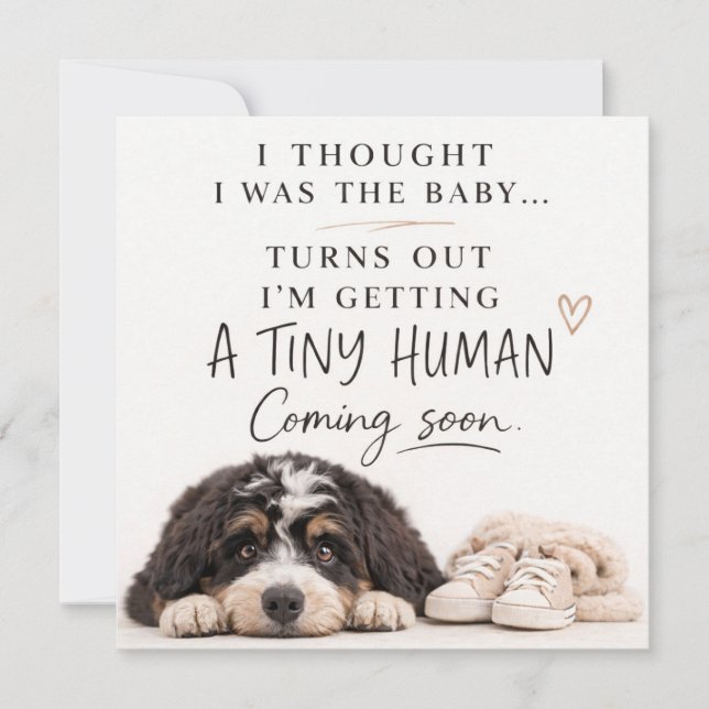 Dog Pregnancy Announcement Card Inbjudningar (Framsida)