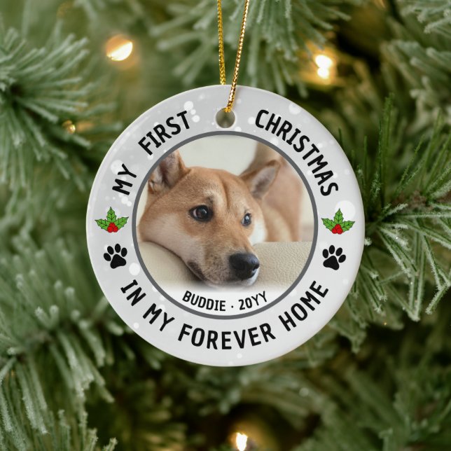 Dog Puppies Cat Pet Photo First Christmas Keepsake Julgransprydnad Keramik (Träd)