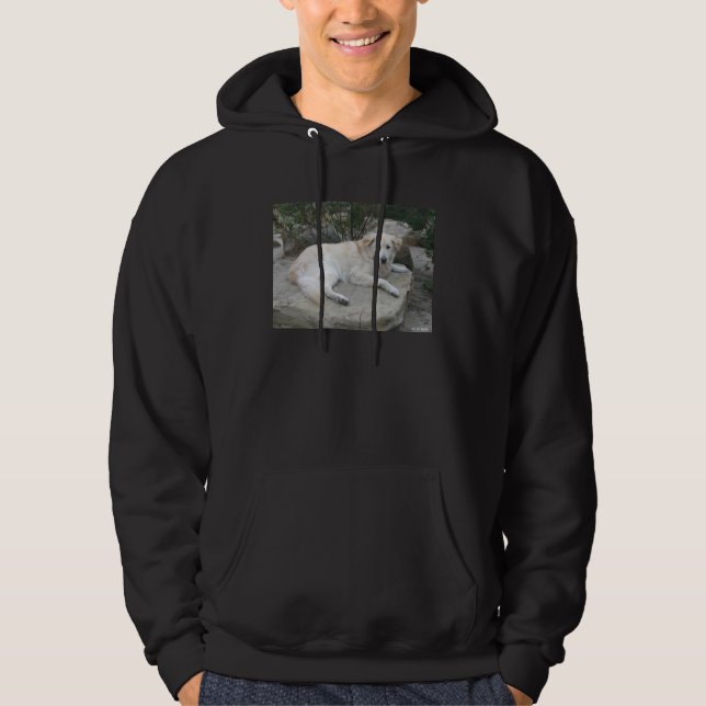 Dog Resting On A Rock Hoodie (Framsida)