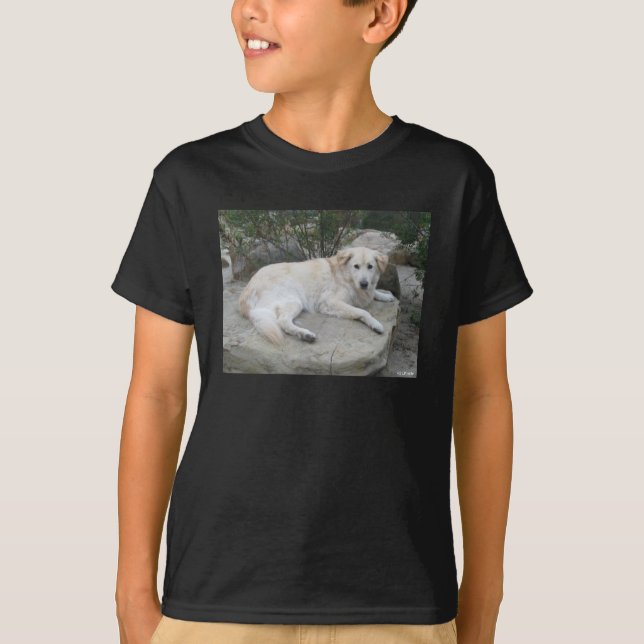 Dog Resting On A Rock T Shirt (Framsida)