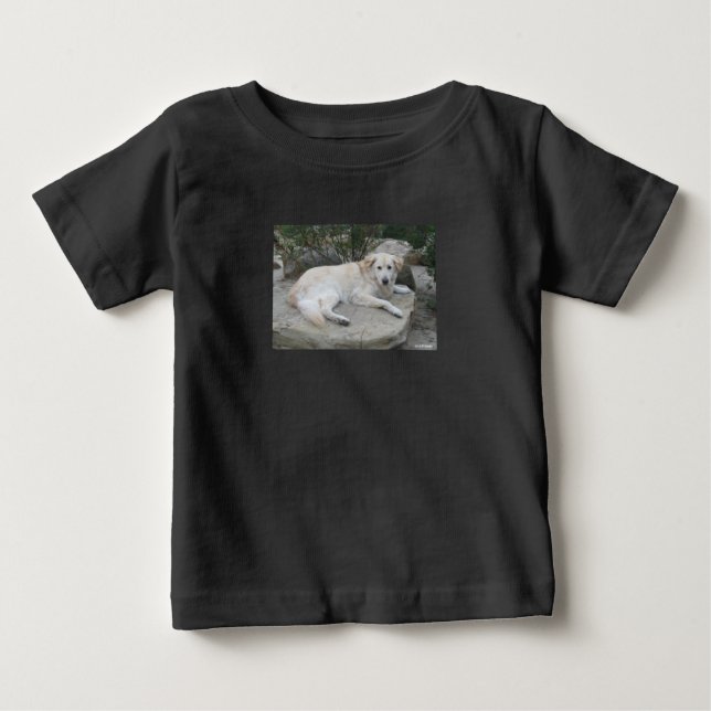 Dog Resting On A Rock T Shirt (Framsida)