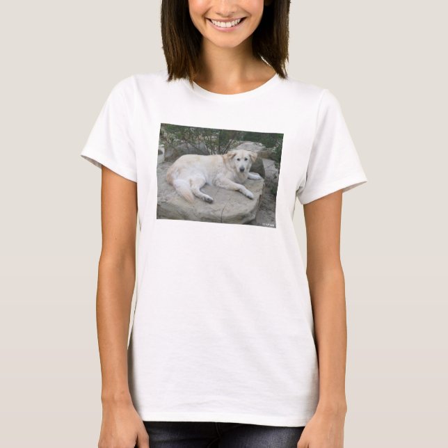 Dog Resting On A Rock T Shirt (Framsida)