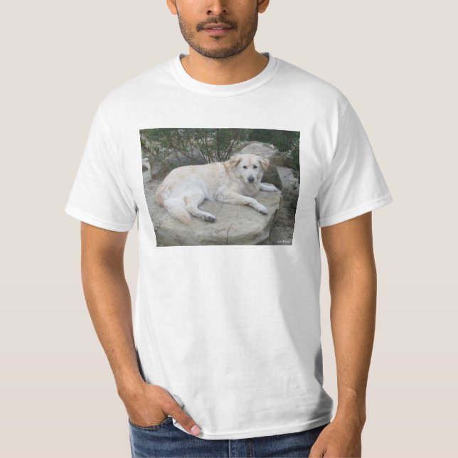 Dog Resting On A Rock T Shirt (Framsida)