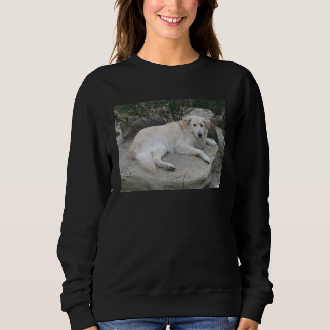 Dog Resting On A Rock T Shirt (Framsida)