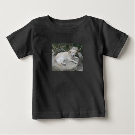 Dog Resting On A Rock T Shirt