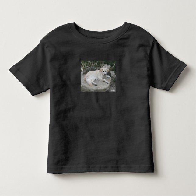 Dog Resting On A Rock T Shirt (Framsida)