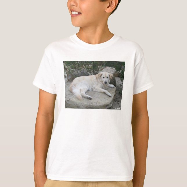 Dog Resting On A Rock T Shirt (Framsida)