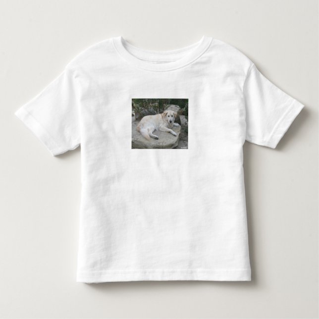 Dog Resting On A Rock T Shirt (Framsida)