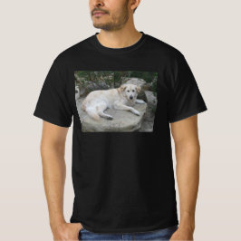 Dog Resting On A Rock T Shirt