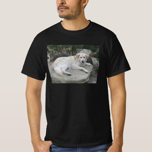 Dog Resting On A Rock T Shirt (Framsida)