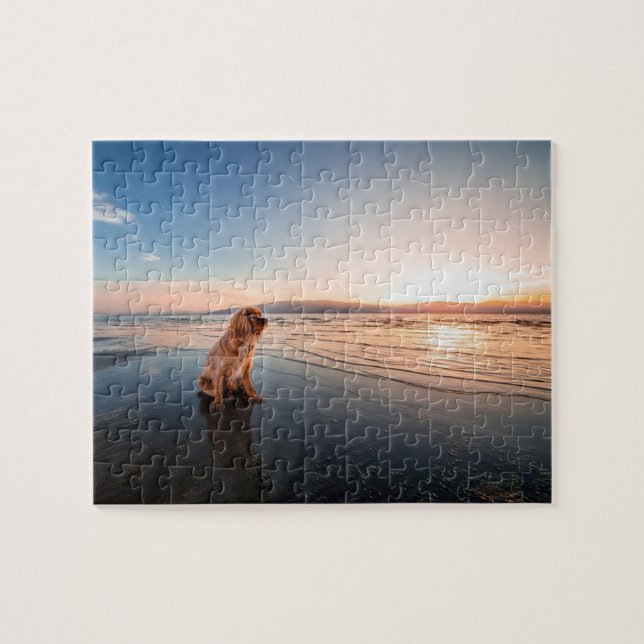 Dog sitting on the beach pussel (Horisontell)