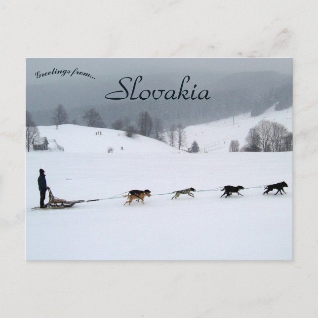 Dog Sled Team in Winter in Slovakia Vykort (Framsida)